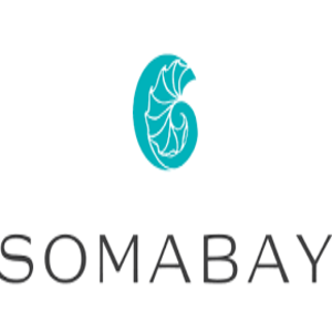 68d94fa625d58_somabay-Developments.png